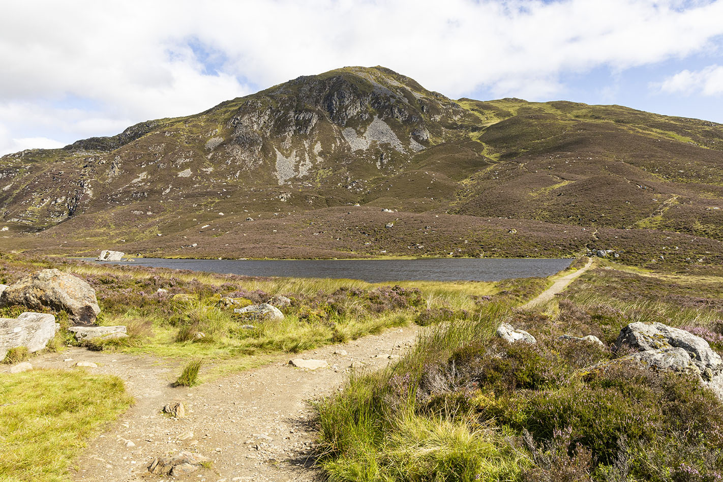 An Ascent of Ben Y Vrackie